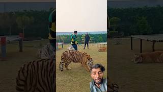 This Desk Setup Is a Game Changer! | #shorts #officegoals