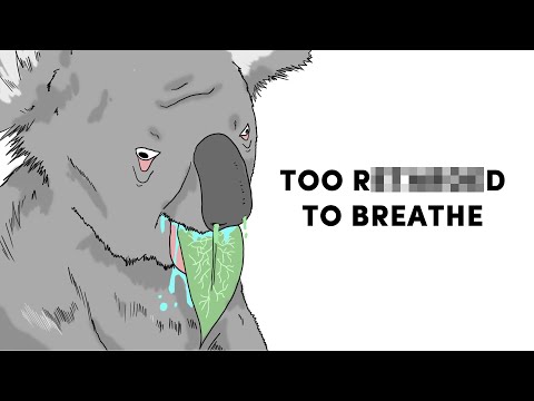 You'd Rather Deepthroat a Chainsaw Than Be Any of These Animals