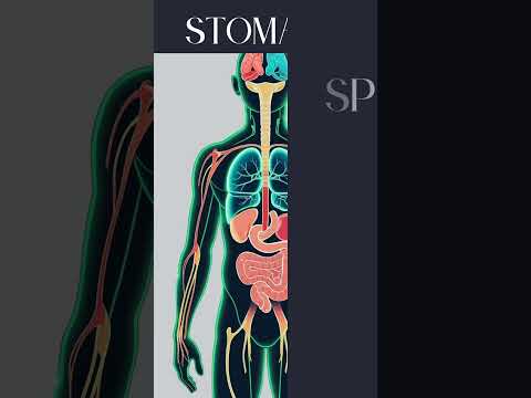 Did you know you can live without your stomach, spleen, or even one kidney? || क्या पेट, तिल्ली या..