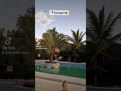 Senegal 🇸🇳 🏝👌#senegal #palm #paradise #travel #shorts #trip #besttime #podróże