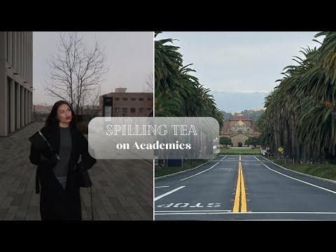 SPILLING TEA on ACADEMICS