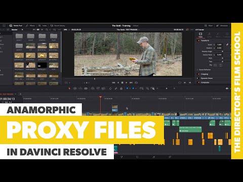 How to Create Proxy Files in DaVinci Resolve | Anamorphic Proxies