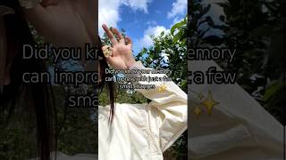 🧠 Boost your memory with small daily habits! 💤🏃🍓 #BrainPower #BoostYourMind #studentlife #memorytips