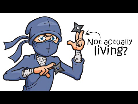 Why it Sucked to be Born as a Ninja?