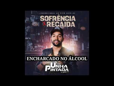 Unha Pintada - Fígado encharcado no álcool