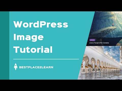 Wordpress Image Tutorial | Elementor For Images