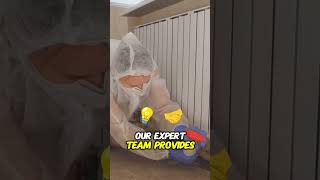 Hidden mold in your home?
