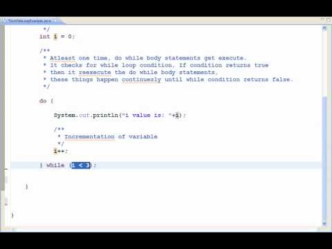 Do While Loop Example