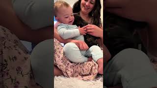 Furry Angels for Every Child #cat #funnycats #cutecat #catlovers #fyp #viralvideo