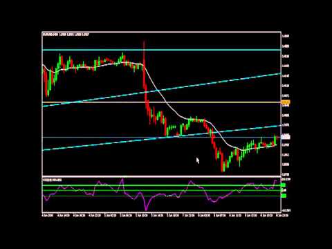 Forex Trader