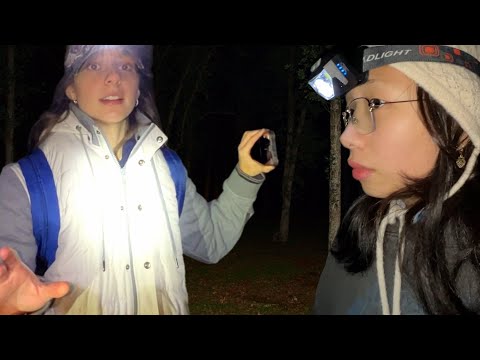Turtlewithhat Found Footage 2024