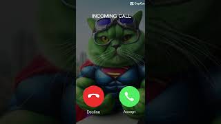 Iphone  ringtone  📱 calling messenger #iphone #cutecats #messenger #ringtones