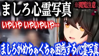 【心霊】ましろが困惑する心霊写真【にじさんじ/ましろ/切り抜き】