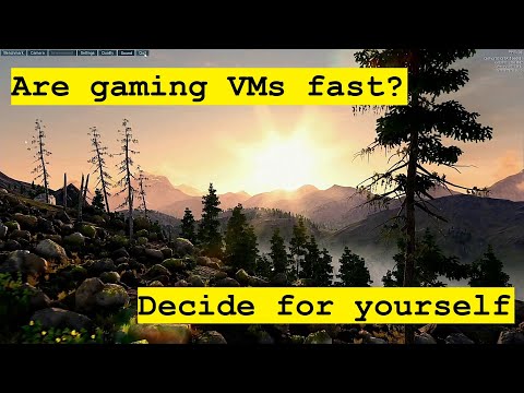 Benchmarks! Gaming VM vs. Native Install - Full Tests + Reference Footage