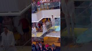 Celestial Strings @Carnival Panorama!! #cruise #carnival #carnivalpanorama