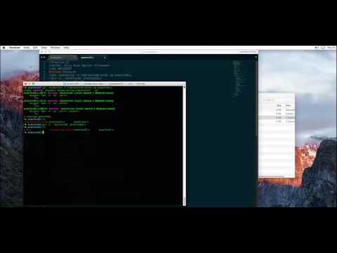 Dynamic libraries in linux using c - Practice12