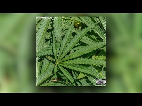 Indica (Emotional Trap Beat)