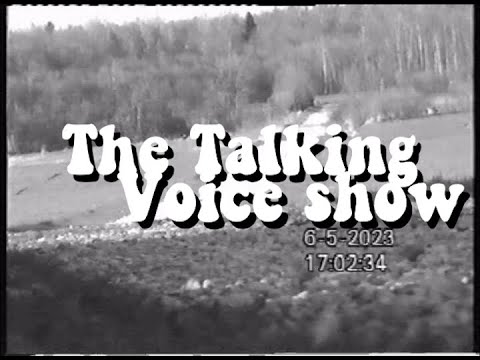 The Talking Voice Show Vol.1 Ep.2