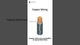 Why Fiber Optics Matter at LayerZero
