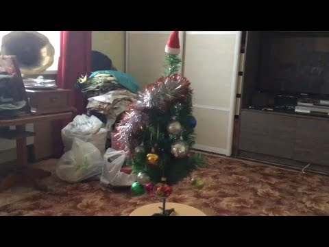 Decorating the Tree and gongratulating Happy New Year (Наряжаю ёлку и поздравляю с Новым годом)