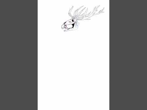 Mediocre… thing (wip)