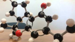 The Cannabinoid Molecular Structure Part 1