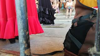 Flamenco feet