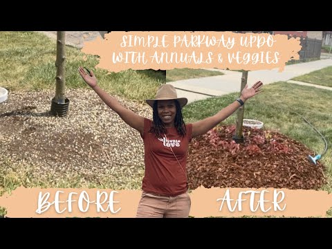 A Simple Curb Appeal with this Parkway Makeover!