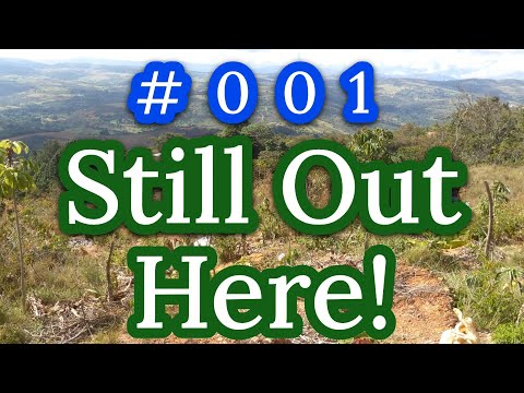 Still Out Here #001