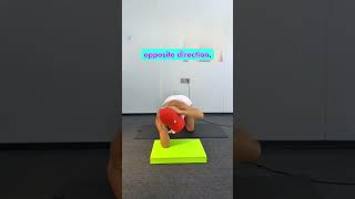 How to Fix Pelvis, Belly & Posture #shorts #fitness #exercise #fyp