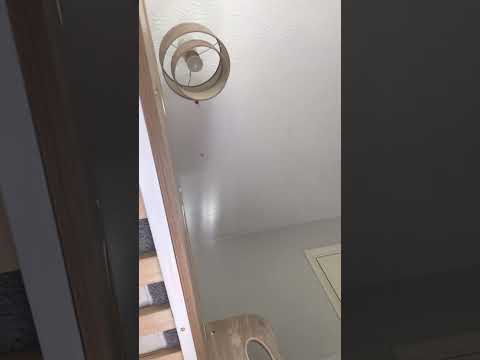 Rip kakyoin. He’s now on my celling