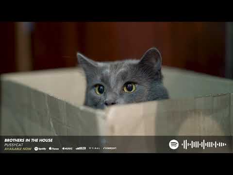 BITH - Pussycat
