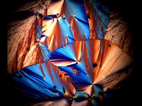 Vitamin C crystals | Motic Americas #moticam #microscopy #BA310