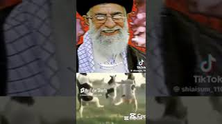Israel  ve Iran war only funny video not anger any one thanks 🙏👍#terding_new #memes #vairalshort