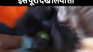 Tobacco kaise banta hai. Gutka tobacco products