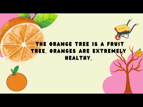 Story 30: Orange Trees - Learning Basic English Stories with #GinheoSchool