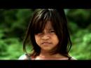 Greenpeace - Dove Onslaught (er) Respuesta publicitaria