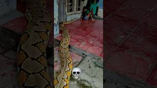 Python Can't be Scary 💀