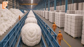 How Millions of Tons of Cotton Are Made Into Clothes Inside Massive Factory Lines