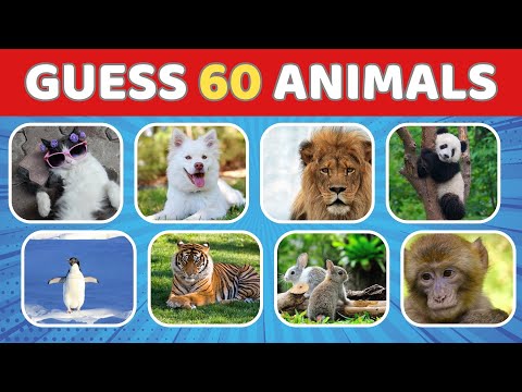 3-Second Animal Challenge: Can You Guess the Creature