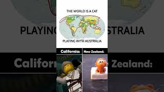 The world is a cat 🤯