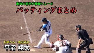 【衝撃トレード】平沼翔太 (日本ハム→埼玉西武) 期待の若手が新天地へ 打撃まとめ