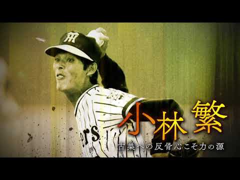 【公式】「虎を支えたエースたち」特別映像
