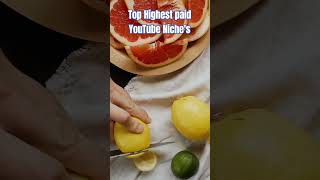Top Highest paid YouTube niche's #growyourchannel #youtubegrowth #youtubetips #viral #productivity