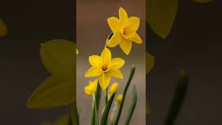 Spring! Inspiring Vibes | LIFE Learn Inspire fun & Experiments