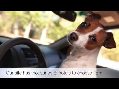 Pet Friendly Hotels Sumter, South Carolina