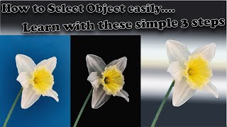 HOW TO SELECT OBJECT  WITH DIFFERENT METHODS || OBJECT SELECTION || QUICK SELECTION || CHANNELS ||
