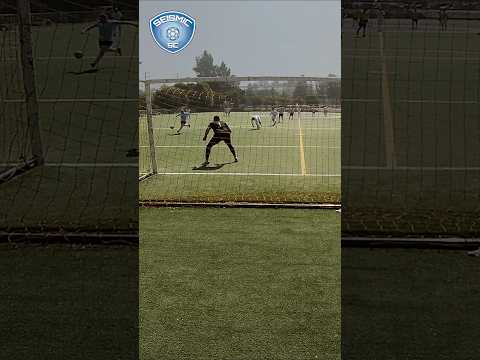 Perfect far post placement #soccergoals #sidenetting #counterattack
