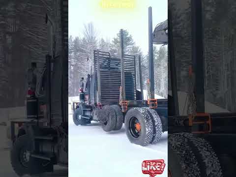Driving giant logging lorries is actually easier and more enjoyable than you think !