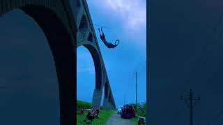 From Ground to Sky | Incredible Dog Jumps #dogshorts #cutedog